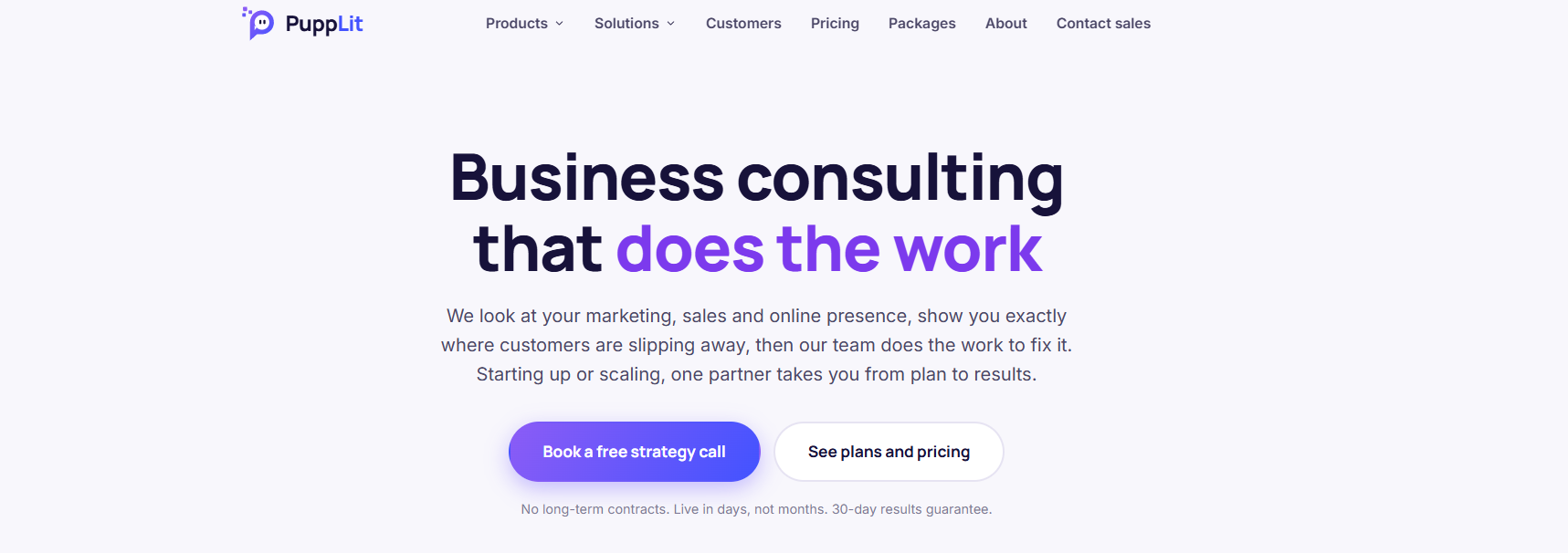 PuppLit website homepage with business consulting headline, purple call-to-action buttons and navigation for products, solutions, customers and pricing